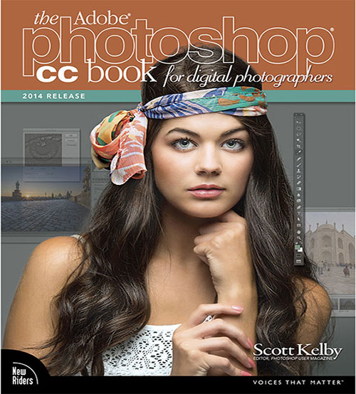 PSCC14_500x554