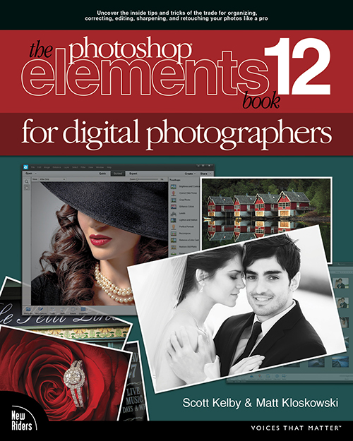PSE12_DP_Cover