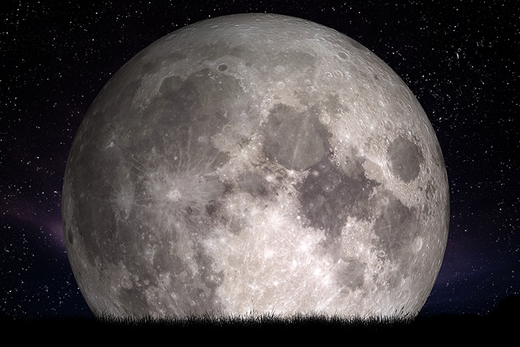 Full moon at night. Grass in the foreground. Perfect for background, copy-space. Elements of this image furnished by NASA