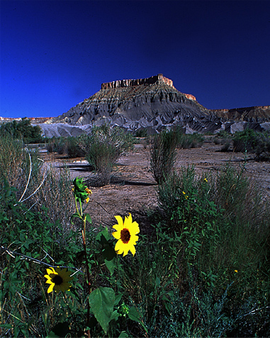 wide angle lens and depth of field