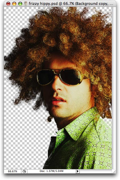 Selecting Frizzy Hair - Planet Photoshop