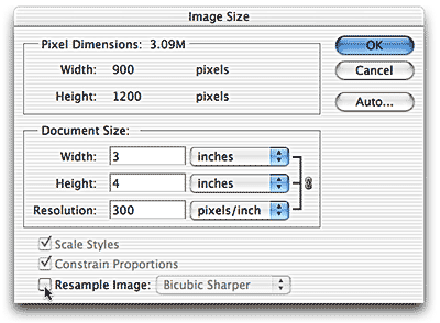 Explaining Image Resolution And View Print Size Planet, 51% OFF