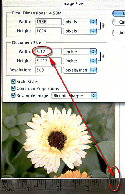 grus Akvarium Bliver værre Explaining "Image Resolution" and View > Print Size - Planet Photoshop