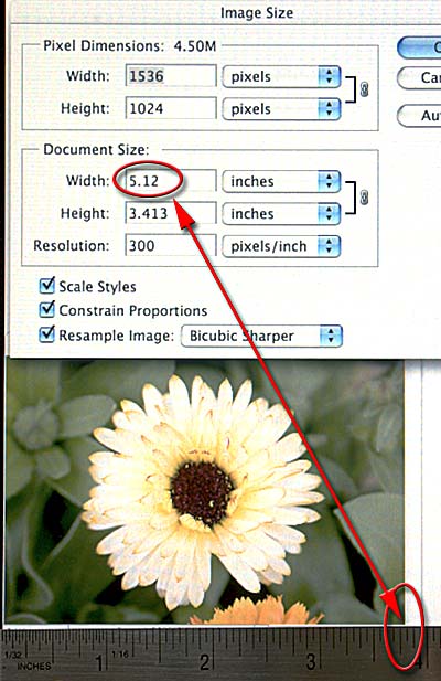 Explaining Image Resolution and View > Print Size - Planet Photoshop