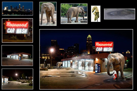 elephantssm.jpg