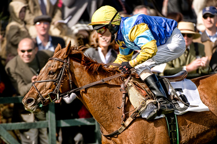 steeple1sm.jpg
