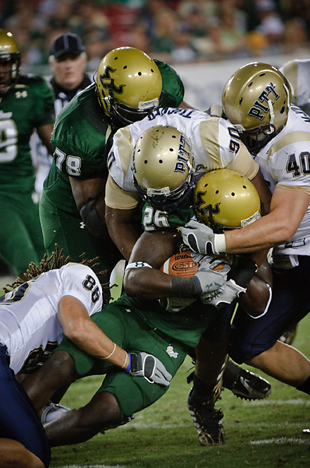 usf-bulls-3.jpg