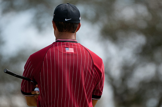Tiger'sBack Tiger'sBack
