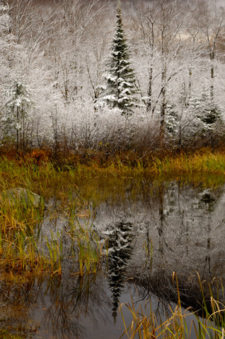 2_Vermont DLWSsm