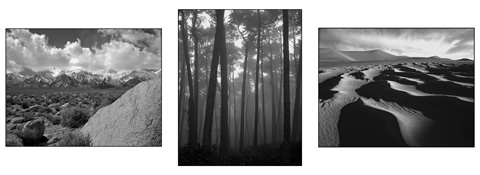 black&white1sm black&white1sm