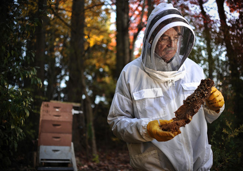 Beekeepersm
