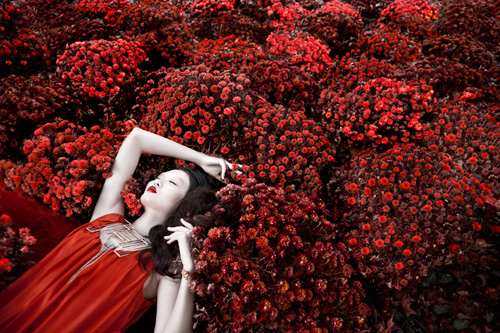 2_LindsayAdlersm