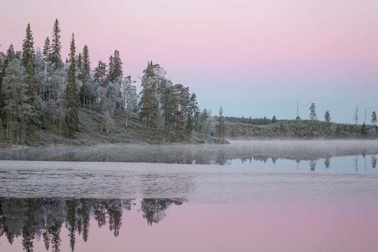 Frosty morning. 2015.