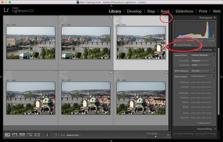 Smart preview lightroom что это