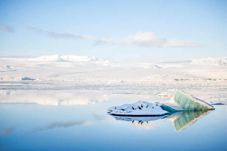 25001274841_e7f330d318_o