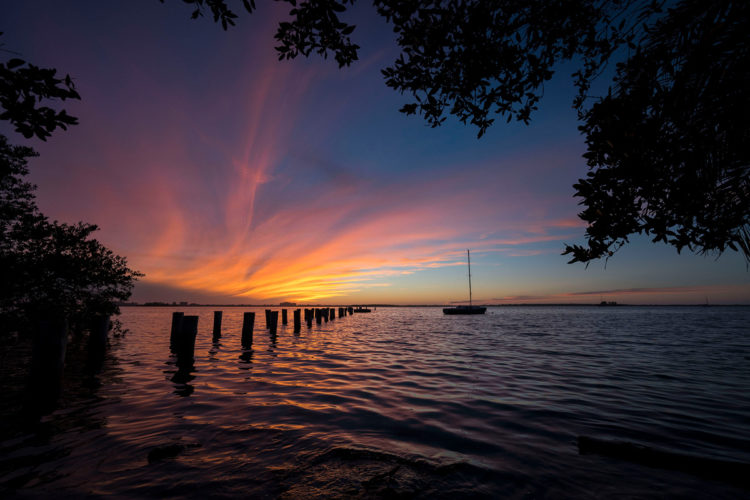 _dsc2463-21x15