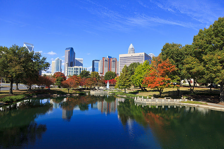 Charlotte Skyline from Marshall Park