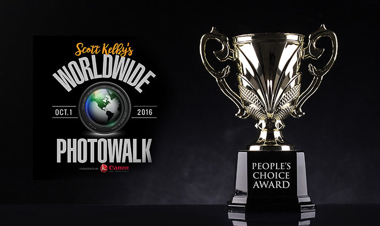 award winning trophy shot in black background